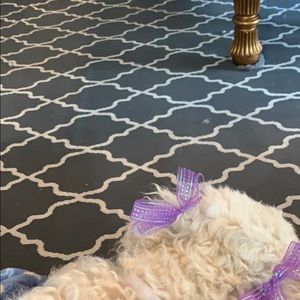 Meet your Posher, Vanessa